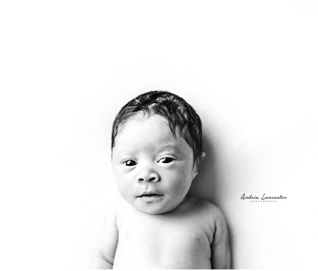 black and white image newborn on back eyes open
