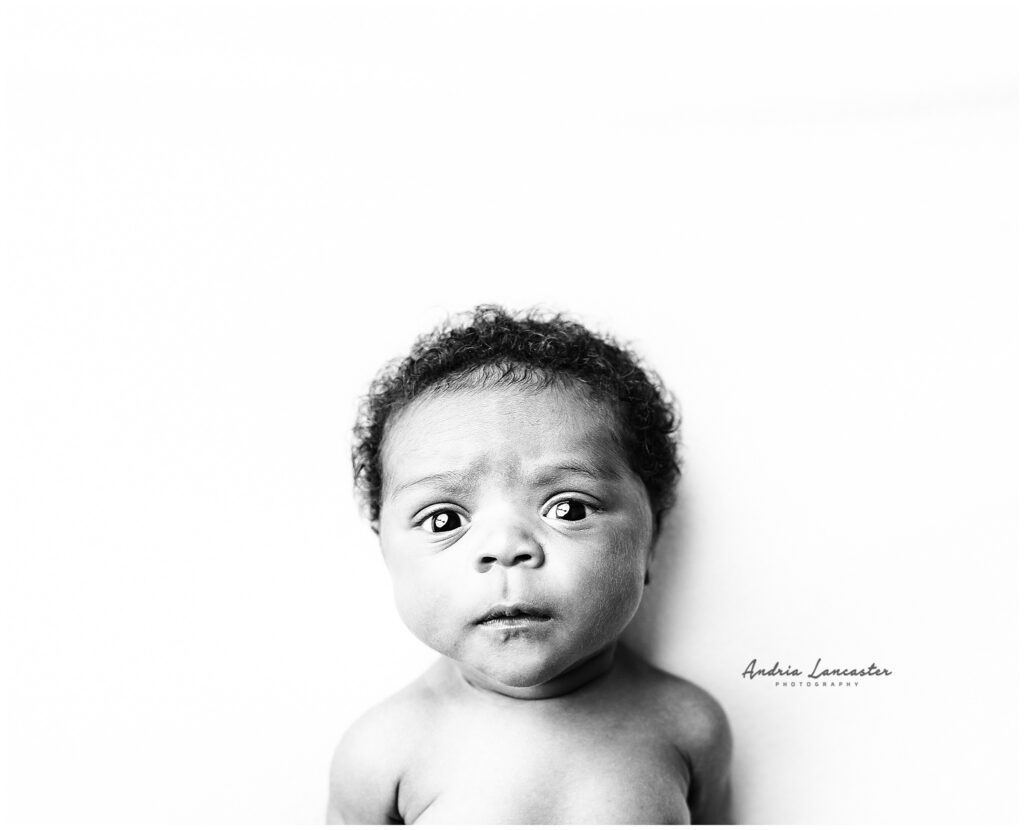expressions newborn portraits