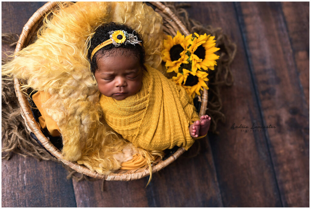 sunflower newborn portraits